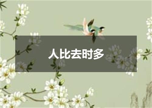 人比去时多