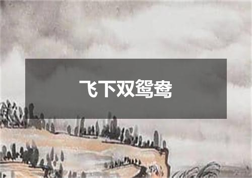 飞下双鸳鸯