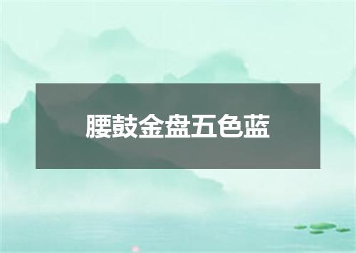 腰鼓金盘五色蓝