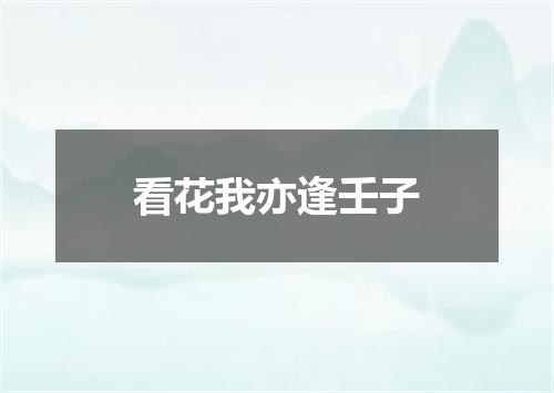 看花我亦逢壬子