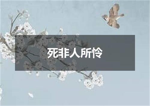 死非人所怜