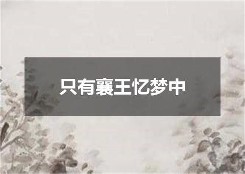 只有襄王忆梦中
