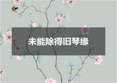 未能除得旧琴缘