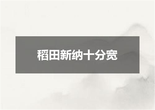 稻田新纳十分宽