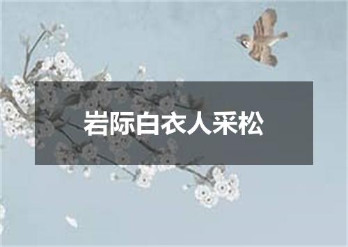 岩际白衣人采松