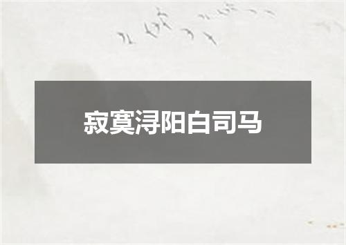 寂寞浔阳白司马