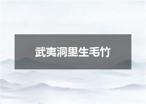 武夷洞里生毛竹