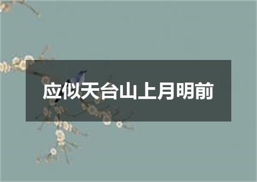 应似天台山上月明前