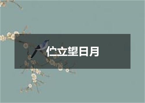 伫立望日月