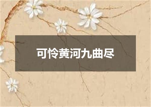可怜黄河九曲尽