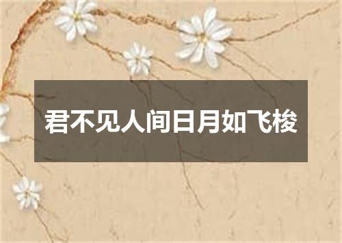 君不见人间日月如飞梭
