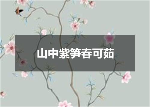 山中紫笋春可茹