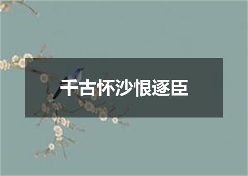千古怀沙恨逐臣