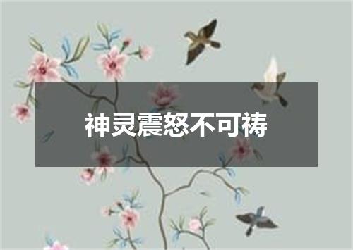 神灵震怒不可祷
