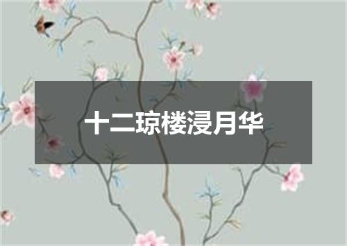 十二琼楼浸月华