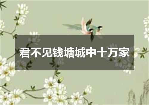 君不见钱塘城中十万家