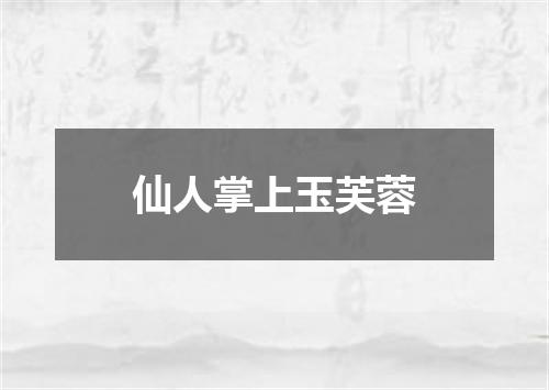 仙人掌上玉芙蓉