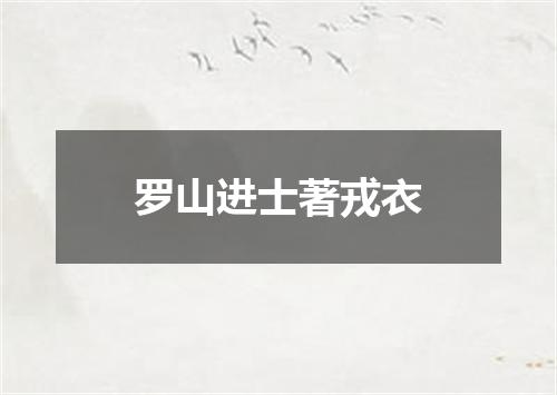 罗山进士著戎衣