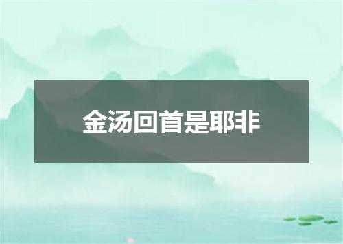 金汤回首是耶非
