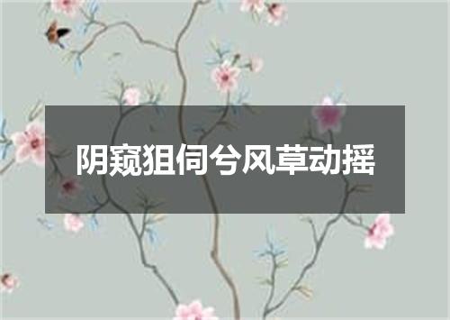 阴窥狙伺兮风草动摇