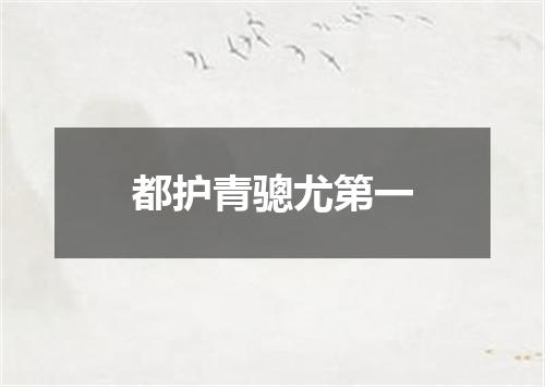 都护青骢尤第一