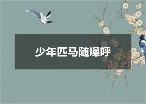 少年匹马随噪呼