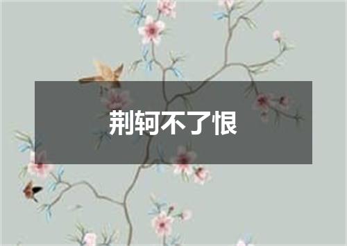荆轲不了恨
