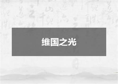 维国之光