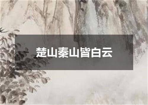 楚山秦山皆白云