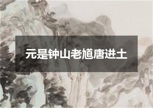 元是钟山老馗唐进土