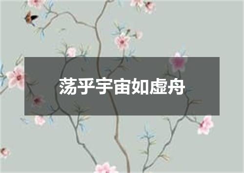 荡乎宇宙如虚舟