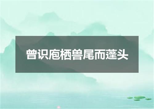 曾识庖栖兽尾而蓬头