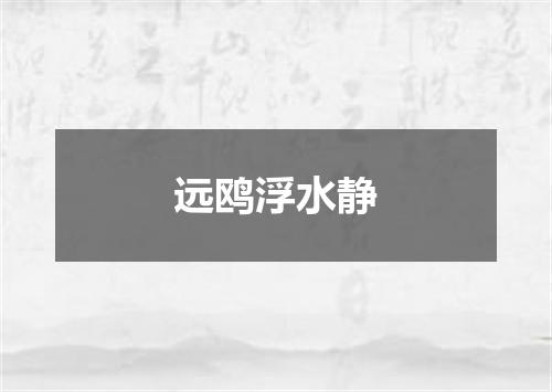远鸥浮水静