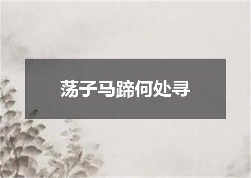 荡子马蹄何处寻