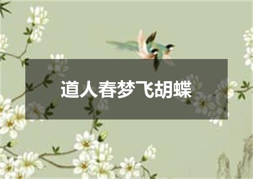 道人春梦飞胡蝶