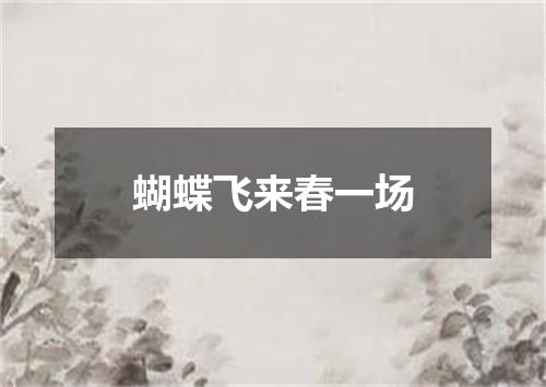 蝴蝶飞来春一场