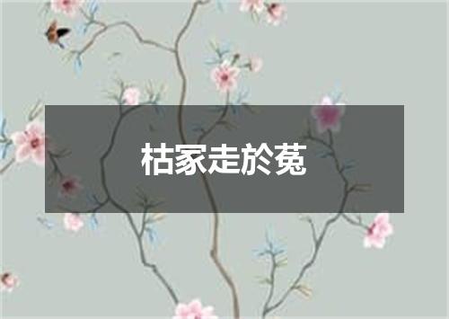 枯冢走於菟