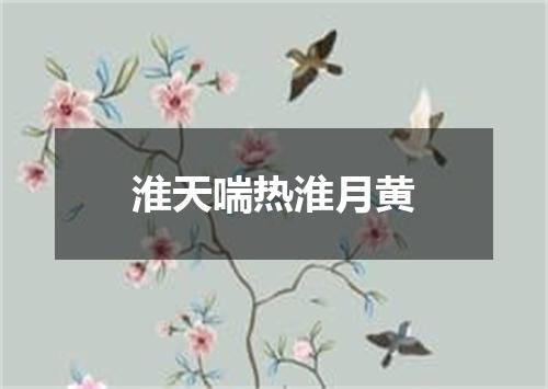 淮天喘热淮月黄