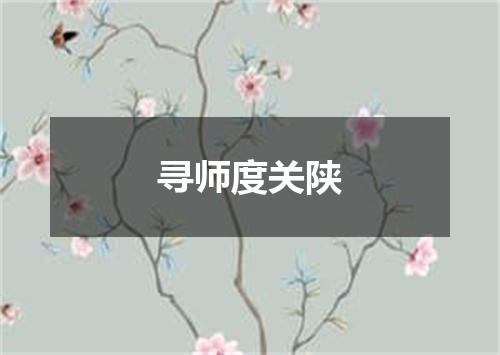 寻师度关陕