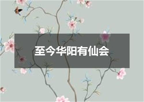 至今华阳有仙会