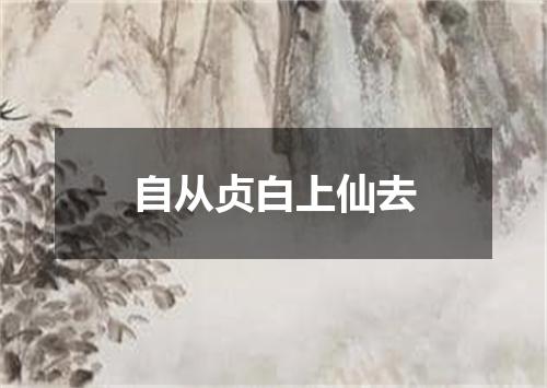 自从贞白上仙去
