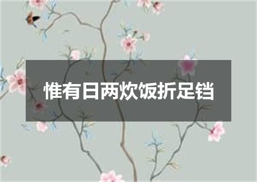 惟有日两炊饭折足铛