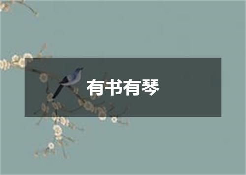 有书有琴