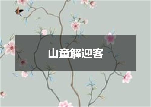 山童解迎客