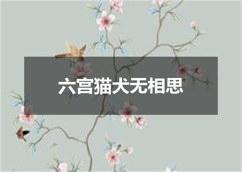 六宫猫犬无相思