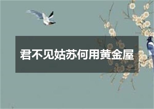 君不见姑苏何用黄金屋
