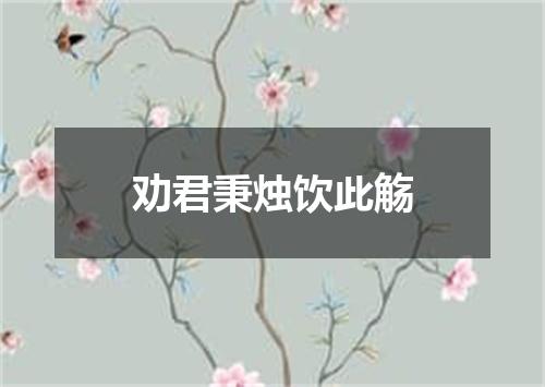劝君秉烛饮此觞