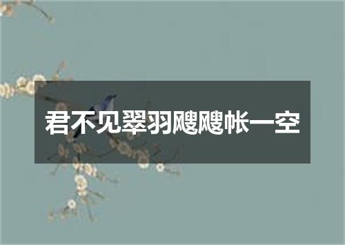 君不见翠羽飕飕帐一空