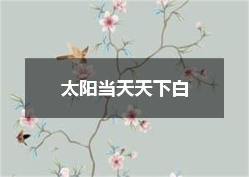 太阳当天天下白