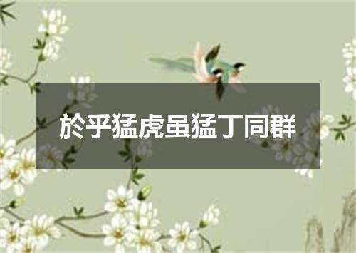 於乎猛虎虽猛丁同群